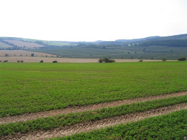Troubelice 2006 072.jpg
